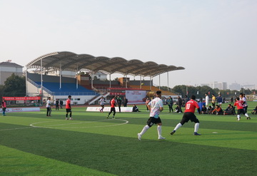 DSC0565022.jpg